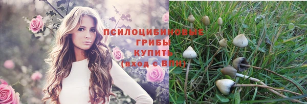 соль курить ск Алексеевка