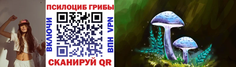 shop Telegram  Пермь  Псилоцибиновые грибы MAGIC MUSHROOMS 